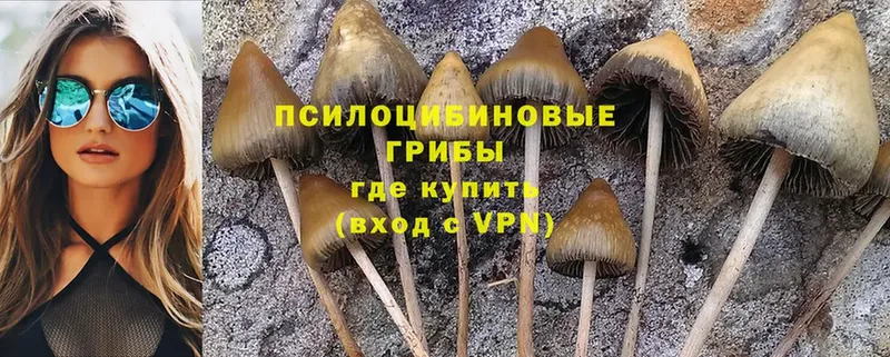 Псилоцибиновые грибы Magic Shrooms  площадка клад  Мичуринск  наркота 